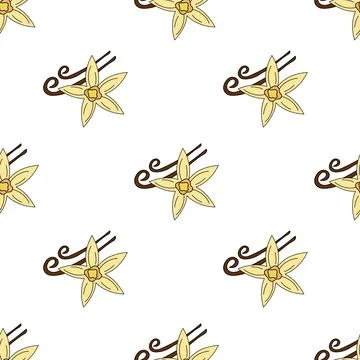 Seamless pattern with Vanilla flower and pod. Stock Illustration