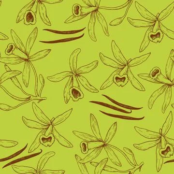 Seamless pattern with vanilla orchid flowers and sticks in engraving vintag.. Stock Illustration