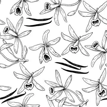 Seamless pattern with vanilla orchid flowers and sticks in engraving vintag.. イラスト素材