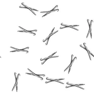 Seamless pattern vanilla stick sketch hand drawn Illustrazione stock