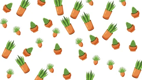 Seamless pattern of various green potted plants and succulents on white Stock Footage 345539465