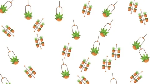 Seamless pattern of various green potted house plants on white background Stock-Footage 345539469