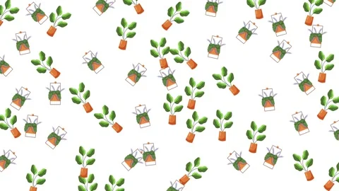 Seamless Pattern of Various Green Potted Plants and Planters on White Background Stock Footage 345539472