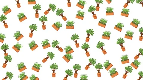 Seamless Pattern of Various Green Potted House Plants on White Background Stock Footage 345539482