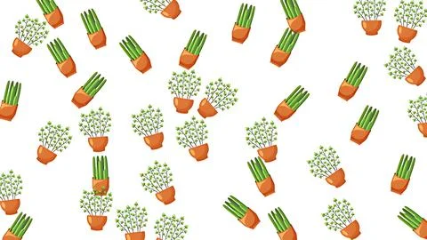 Seamless pattern of various green potted house plants on white background f.. Illustrazione stock