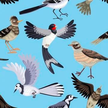 Seamless pattern from various migratory birds. Feathered animals. Stock-Illustration