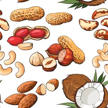 Seamless pattern of various nuts on white background Stock Illustration