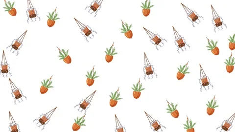 Seamless pattern of various potted house plants and flowers on white background Video stock 345539473