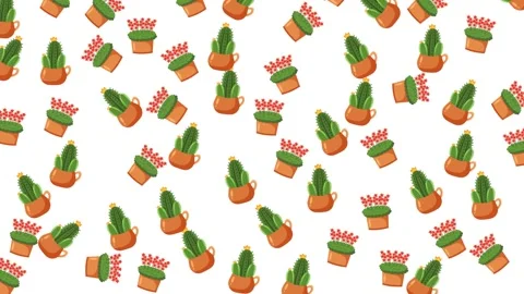 Seamless Pattern of Various Potted Houseplants and Lavender on White Background Stock Footage 345539476