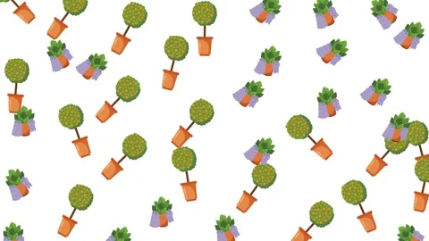 Seamless pattern of various potted plants and hanging succulents on white Stock Footage 345539474