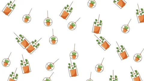 Seamless pattern of various stylized green potted plants on a white background Stock Footage 345539467