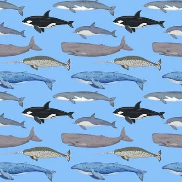 Seamless pattern with various whales. Hand-drawn detailed print. Vector ill.. Stock Illustration