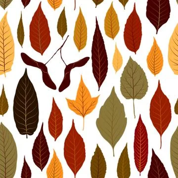 Seamless pattern vector background with colorful autumn leaves Stock Illustration