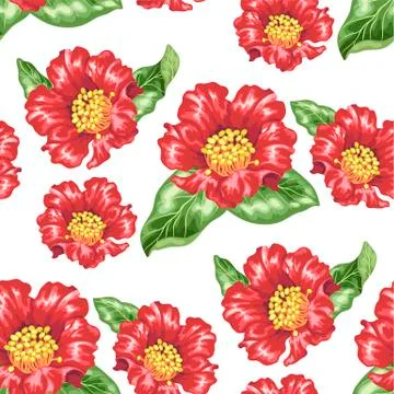 Seamless pattern in vector with blooming pomegranate fruit flowers Illustrazione stock
