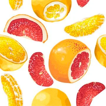 Seamless pattern in vector with citrus fruit slices Stock Illustration