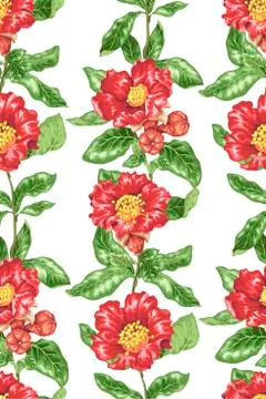 Seamless pattern in vector drawing with vectical branch of blooming pomegrana Illustrazione stock