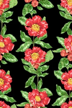 Seamless pattern in vector drawing with vectical branch of blooming pomegrana Stock Illustration