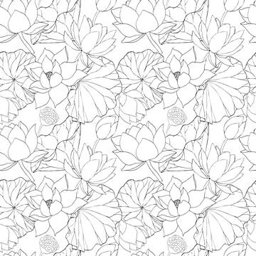 Seamless pattern with vector hand drawn lotus flowers and buds, huge leaves Stock Illustration
