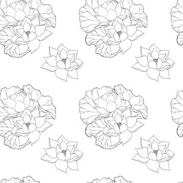 Seamless pattern with vector hand drawn lotus flowers and buds, huge leaves Stock Illustration