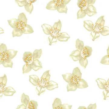 Seamless pattern in vector illustation with jasmine flowers Stock Illustration