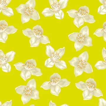 Seamless pattern in vector illustation with jasmine flowers Stock Illustration