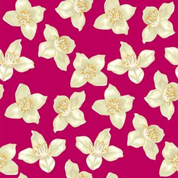 Seamless pattern in vector illustation with jasmine flowers Stock Illustration