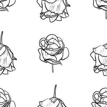 Seamless pattern vector Illustration of beautiful rose, drawing spring flower Illustrazione stock