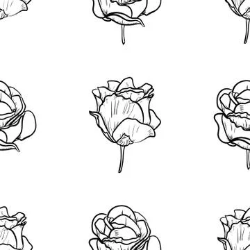 Seamless pattern vector Illustration of beautiful rose, drawing spring flower 스톡 일러스트