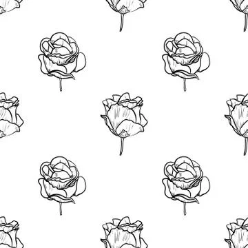 Seamless pattern vector Illustration of beautiful rose, drawing spring flower Stock Illustration