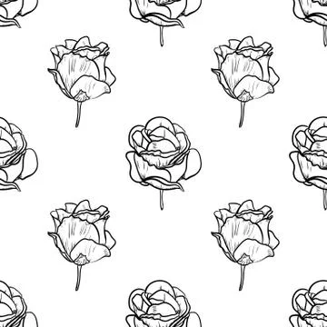 Seamless pattern vector Illustration of beautiful rose, drawing spring flower Illustrazione stock