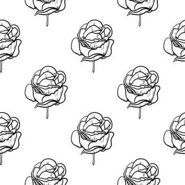 Seamless pattern vector Illustration of beautiful rose, drawing spring flower Illustrazione stock