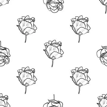 Seamless pattern vector Illustration of beautiful rose, drawing spring flower Illustrazione stock