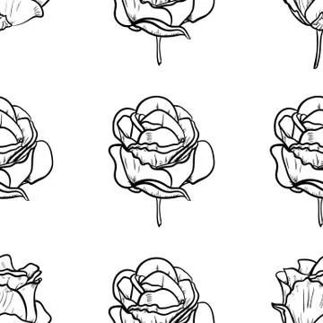 Seamless pattern vector Illustration of beautiful rose, drawing spring flower Stockillustratie