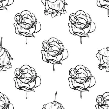 Seamless pattern vector Illustration of beautiful rose, drawing spring flower Stock Illustration