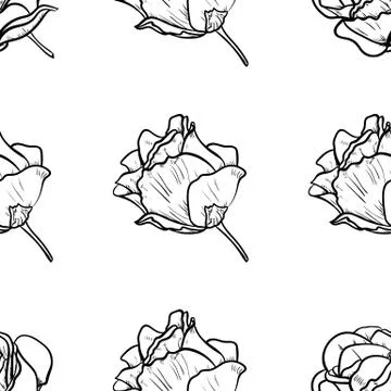 Seamless pattern vector Illustration of beautiful rose, drawing spring flower Stock Illustration