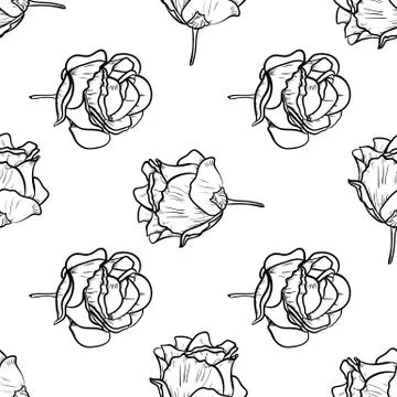 Seamless pattern vector Illustration of beautiful rose, drawing spring flower Stock Illustration
