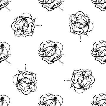 Seamless pattern vector Illustration of beautiful rose, drawing spring flower Stock Illustration