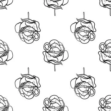 Seamless pattern vector Illustration of beautiful rose, drawing spring flower Stock Illustration