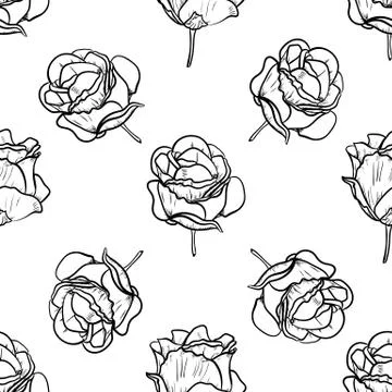 Seamless pattern vector Illustration of beautiful rose, drawing spring flower Stock Illustration
