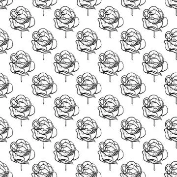 Seamless pattern vector Illustration of beautiful rose, drawing spring flower Illustrazione stock