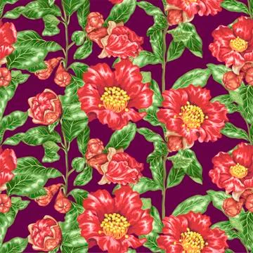 Seamless pattern vector illustration with pomegranate blooming branches Stock Illustration