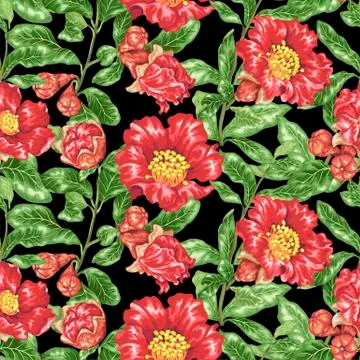 Seamless pattern vector illustration with pomegranate blooming branches Stock Illustration