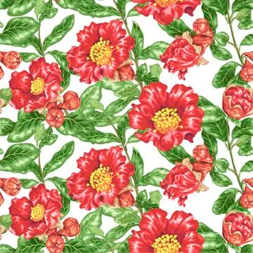 Seamless pattern vector illustration with pomegranate blooming branches Stock Illustration
