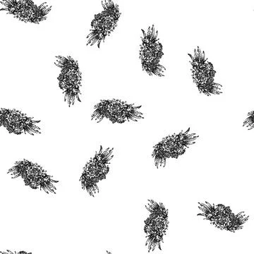 Seamless pattern vector lavender sketch hand drawn Stockillustratie