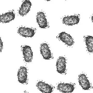 Seamless pattern vector lemongrass sketch hand drawn Stock Illustration