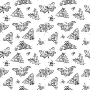 Seamless pattern of vector night butterflies and spiders. Vector illustration Stock Illustration
