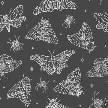 Seamless pattern of vector night butterflies and spiders. Vector illustration Stock Illustration