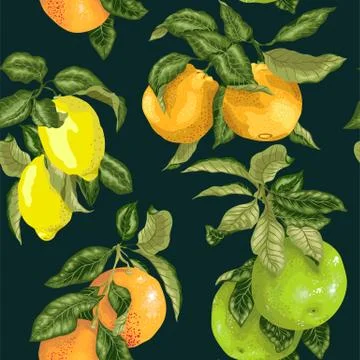 Seamless pattern  in vector realistic illustration with pomelo, orange, grape Stock Illustration