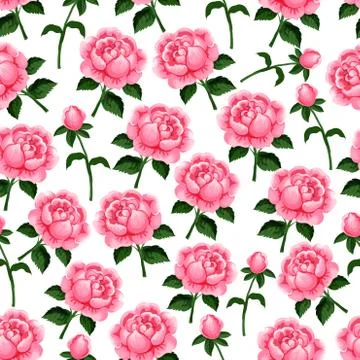 Seamless pattern of vector spring roses flowers 스톡 일러스트