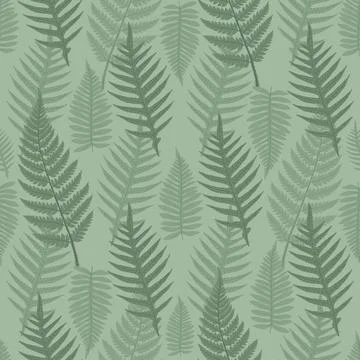 Seamless pattern with vector trendy fern fronds. Stock Illustration